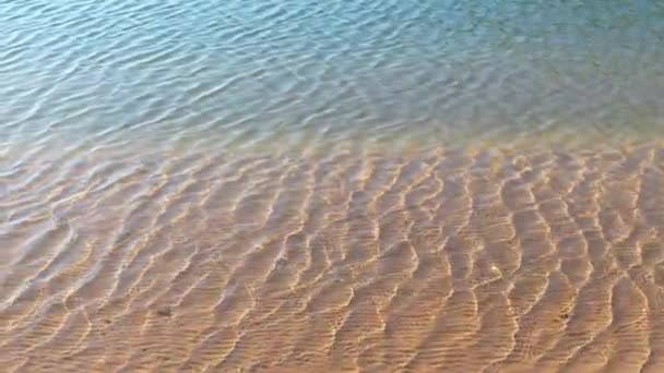 Reflexos Meditativos Rio Elba República Checa — Vídeo de Stock