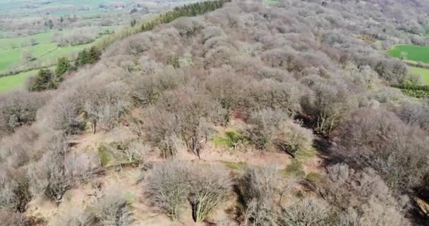 Backwards Aerial Shot Ridge Trees Hembury Fort Devon England — Wideo stockowe