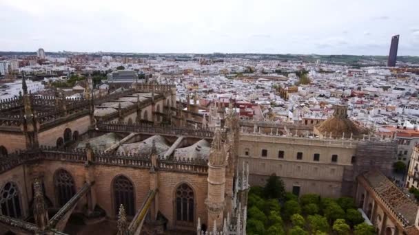 Vue Aérienne Sur Bâtiment Catedral Sevilla Les Toits Séville Arrière — Video