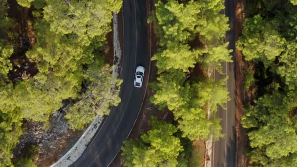 Drone Tracking Car Twisted Road Lush Turkish Coastal Forest Top — Vídeo de Stock