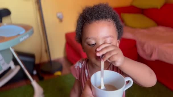 Exotic Cute Two Year Old Afro American Child Helping Dad — Stock Video