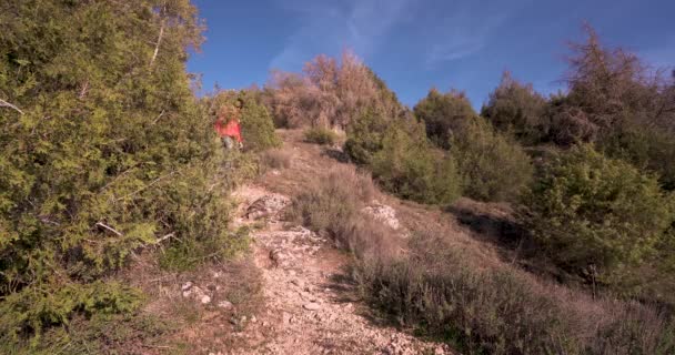 Front View Young Hiker Blue Jeans Red Coat Hiking Path — ストック動画