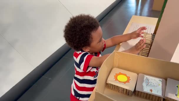 可爱聪明的两岁非洲裔美国儿童玩耍和学习如何循环利用和照顾自然 — 图库视频影像