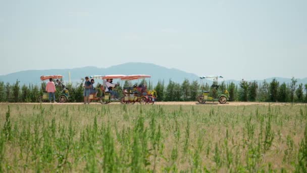 Turistas Bicicleta Elétrica Quatro Rodas Alinhados Lado Campo Anseong Farmland — Vídeo de Stock