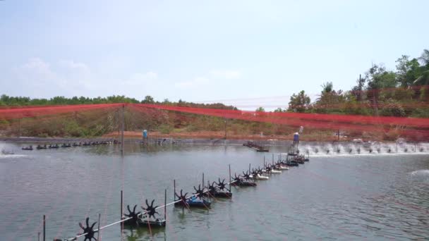 View Freshwater Shrimp Farm Aerators Wide — Stockvideo