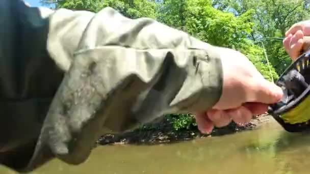 Memerangi Mulut Kecil Bass Pada Batang Lalat Sungai — Stok Video