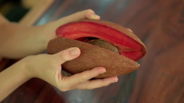 Zbliżenie Strzał Kobieta Ręka Gospodarstwa Cięcia Zapote Egzotyczne Owoce Meksyk — Wideo stockowe