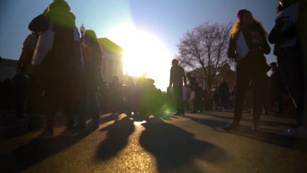 Manifestation Matinale Ensoleillée Devant Bâtiment Cour Suprême — Video