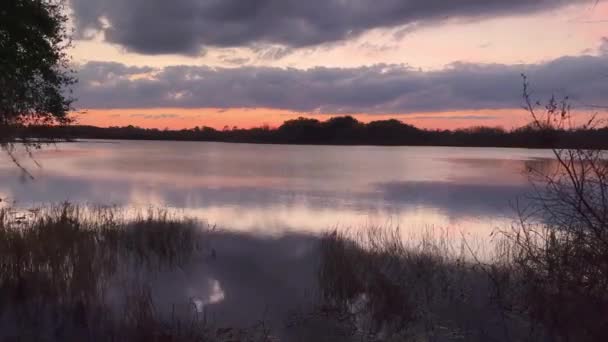 Lake View Sunset Time Lapse Lake David Groveland Florida — 비디오