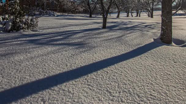 Timelapse Opname Van Zonsondergang Boven Besneeuwde Bosbodem Overdag Zon Achtergrond — Stockvideo