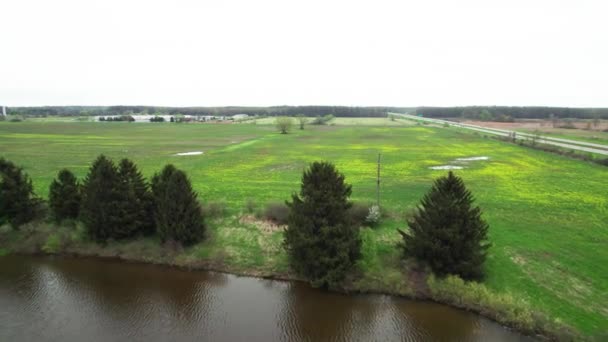 Letecký Dron Shot Jezera Louky Divokými Květy Začíná Růst Dešťové — Stock video