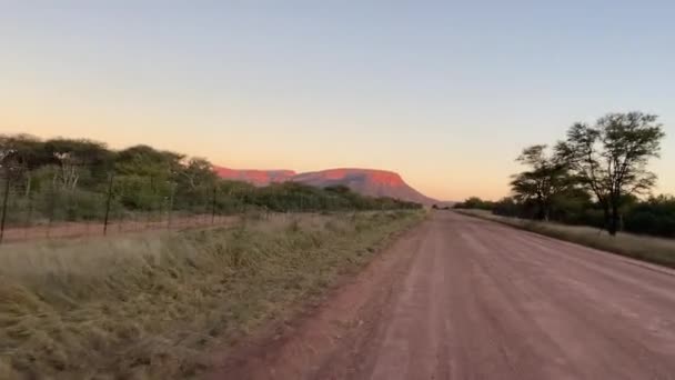 Safari Marakele Nationalpark Limpopo Südafrika Morgengrauen Auf Feldweg Savanne Gefahren — Stockvideo
