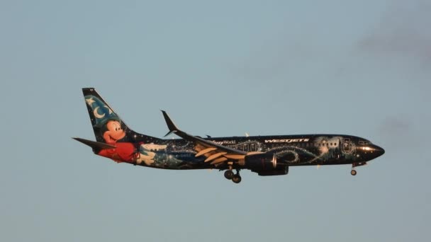 Disney Mickey Mouse Livery Flying Westjet Boeing 737 Plane Ударяється — стокове відео