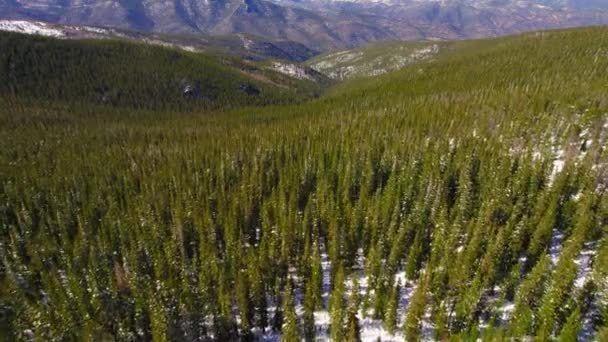 Drohnenaufnahmen Von Großen Grünen Baumkronen Tief Verschneiten Rocky Mountains Valley — Stockvideo