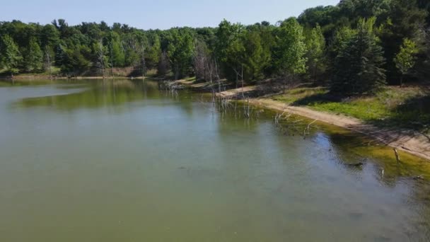 Arbres Morts Sur Rivage Lac Artificiel — Video