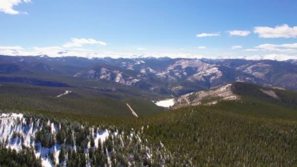 Dron Shot Flying Green Pine Tree Forest Mountains Lightly Cloudy — Stock video