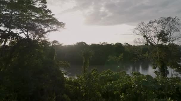 Photo Aérienne Lever Soleil Dans Forêt Amazonienne Amérique Sud Forêt — Video