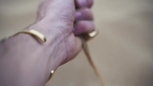 Hand Jewelry Releasing Sand Desert — Stockvideo