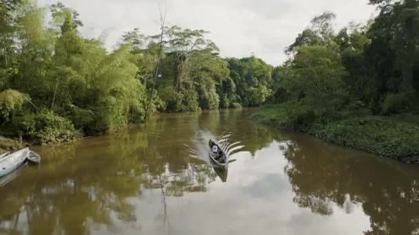 Drone Aérien Arrière Bateau Passagers Naviguant Dans Fleuve Amazone Voilier — Video