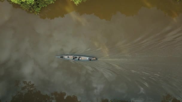 Légi Felvétel Hajóról Amint Amazonas Erdő Folyójában Vitorlázik Légi Madarak — Stock videók