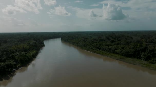 Tiro Aereo Avanti Foresta Amazzonica Fiume Durante Nebbia Mattina Tempo — Video Stock