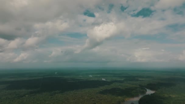 Luchtfoto Van Prachtige Zonnige Dag Van Amazonewoud Rivier Met Wolken — Stockvideo