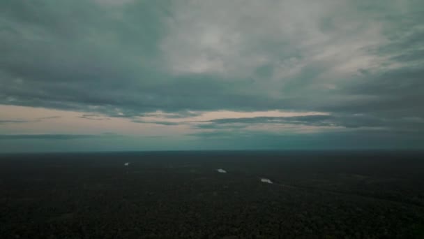 Disparo Aéreo Drones Selva Amazónica Durante Noche Moverse Través Del — Vídeo de stock