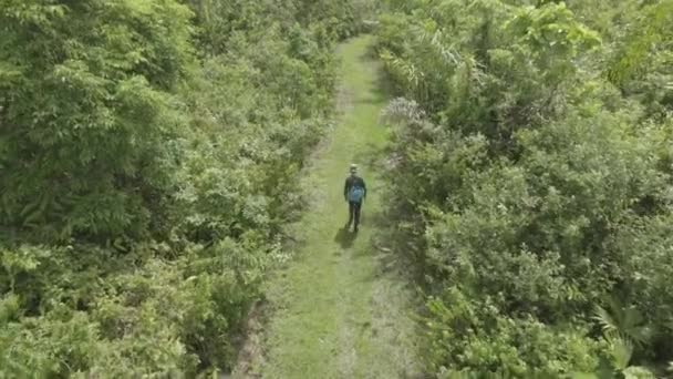Man Walking Dense Rainforest Area Path Strzał Drona Lotniczego — Wideo stockowe