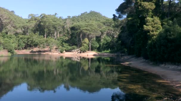 Imagen Lagoa Azul Ubicada Bosque Sintra Con Muchos Pinos Marítimos — Vídeos de Stock