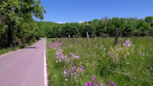 Flores Silvestres Aéreas Longo Estrada Rural Perto Saltville Virginia — Vídeo de Stock