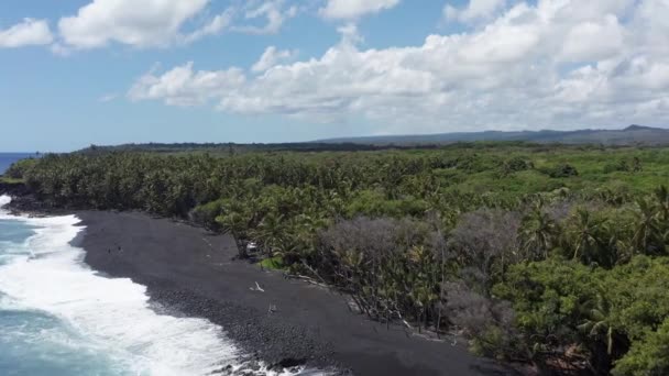 Emelkedő légi felvétel repül egy újonnan alakult fekete homokos strand felett a dzsungel mellett Hawaii Nagy Szigetén. 4K
