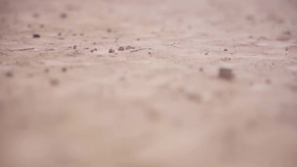哥伦比亚沙漠与粗糙的裂缝地面 选择性焦点射击 — 图库视频影像