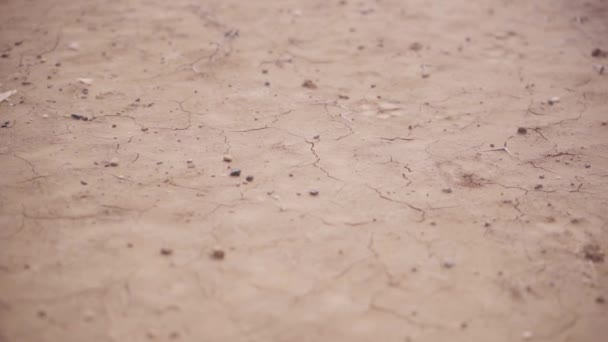 Dry Clay Texture Ground Colombian Desert Close — Stock Video