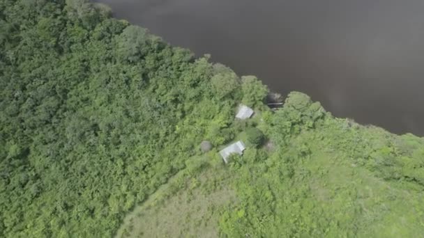 Aerial View Dense Jungle River Drone Shot — ストック動画