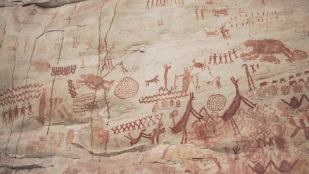 Details Van Serrana Lindosa Rock Art Paintings Het Colombiaanse Amazoneregenwoud — Stockvideo