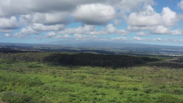 夏威夷大岛上的云彩遮掩了莫纳凯火山的陡峭隆起 — 图库视频影像