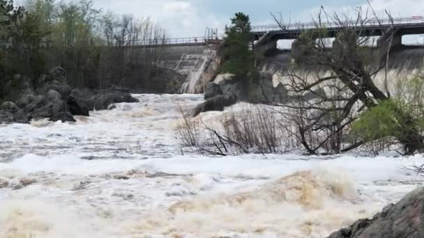 春天的雪融化造成的洪水淹没了北方的一座大坝 — 图库视频影像
