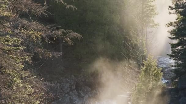 Slow Zoom Out Misty Sunbeams Fantasy Forest — Vídeos de Stock