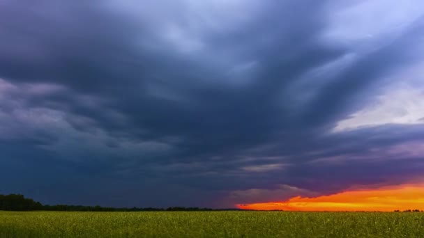 Deszczowe Chmury Monsunowe Burzowe Nad Użytkami Rolnymi — Wideo stockowe