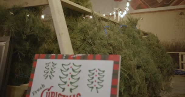 Een Handheld Uitzicht Een Kleine Stad Kerst Dorp Winkelcentrum — Stockvideo