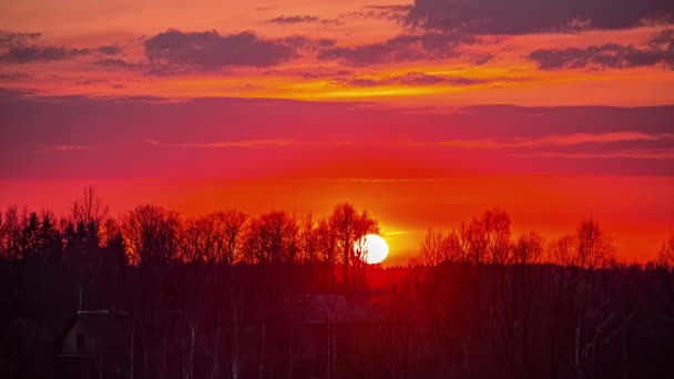 Bloederig Rood Gouden Uur Hemel Einde Van Dag Jungle Land — Stockvideo