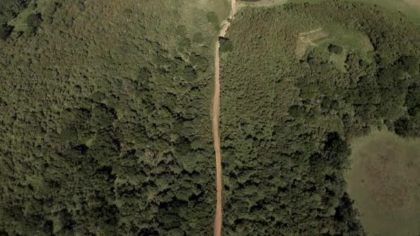 Aerial Tilt Reveal Madeira Fanal Forest Day Cloud Inversion — Vídeo de stock