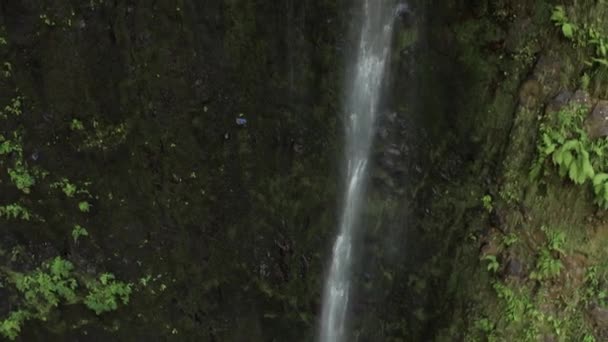 Aerial Close Tall Waterfall Madeira Caldeirao Verde Bottom Top — ストック動画