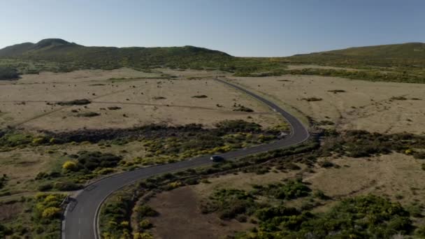 Seguimento Aéreo Carro Numa Estrada Com Curvas Madeira Durante Dia — Vídeo de Stock