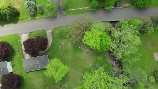 Top Drone Shot Creek Stream Running Residential Neighborhood Bright Greens — Vídeo de stock