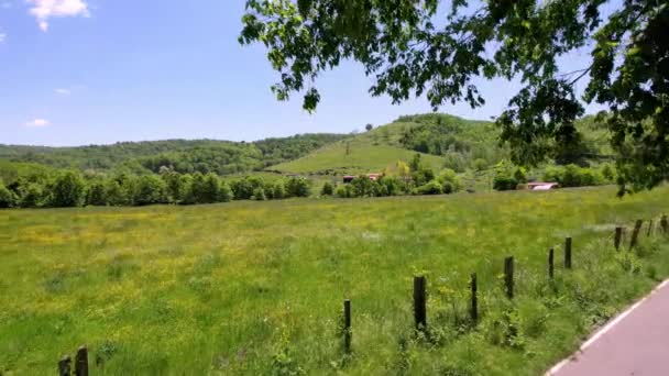 Légi Farm Kerítés Fák Között Tavasszal Gazdaság Közelében Saltville Virginia — Stock videók