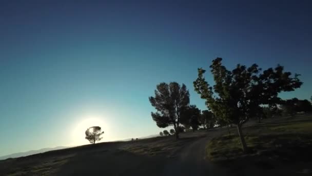 Vliegen Tussen Bomen Met Een Eerste Persoon Drone Een Park — Stockvideo