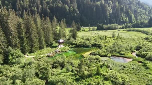 Zelenci Jaillit Dans Les Alpes Juliennes Jour Été Beau Lac — Video