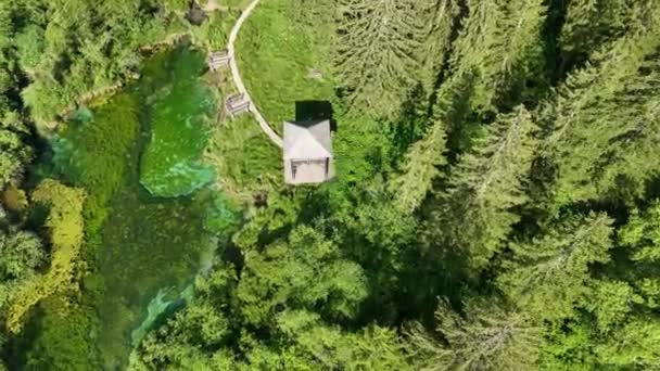Zelenci Jaillit Dans Les Alpes Juliennes Jour Été Beau Lac — Video