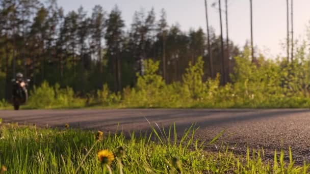 Мотоциклист Катающийся Колесах Асфальтированной Дороге Лесу Мото Спорт — стоковое видео